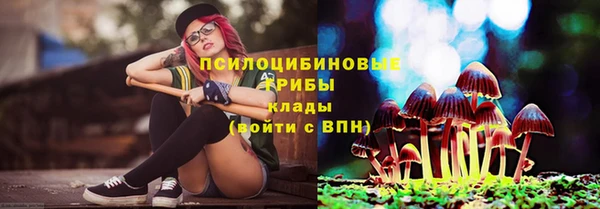 соль ск Богданович