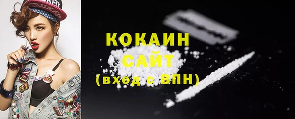 соль ск Богданович