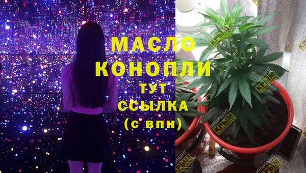 соль ск Богданович