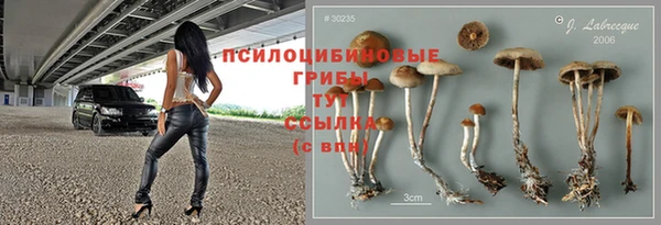 соль ск Богданович